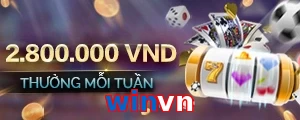 winvn