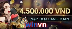 winvn