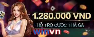 winvn
