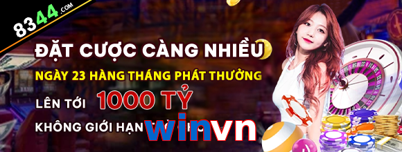winvn
