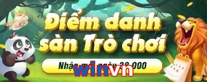 winvn