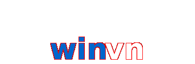 winvn
