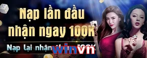 winvn
