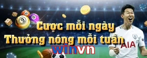 winvn