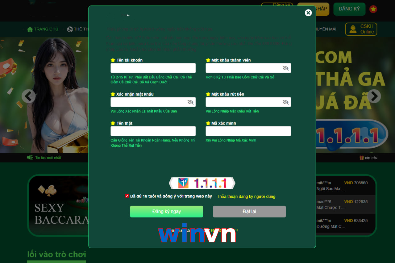 winvn